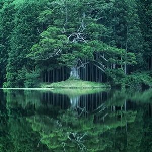 Meet your Posher, Regoberto